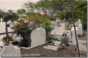 Santa Cruz cemetery-1blog