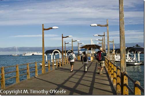Santa Cruz pier to water taxis-1