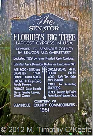 Florida The Senator Largest Cypress in USA sign
