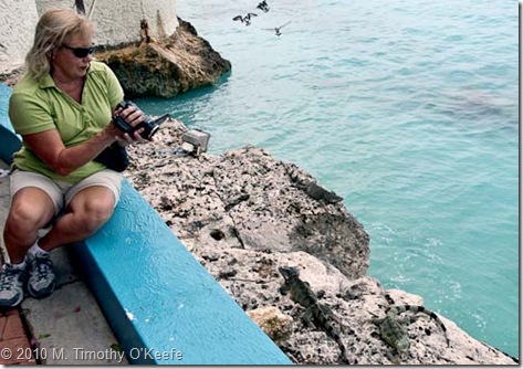 capt don linda shoots iguanas-1