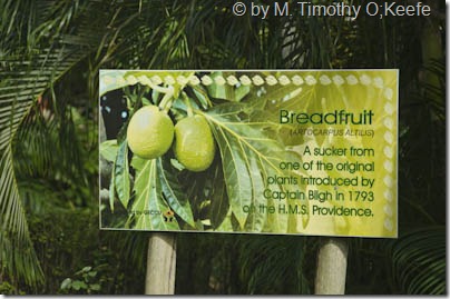 St Vincent breadfruit sign-1