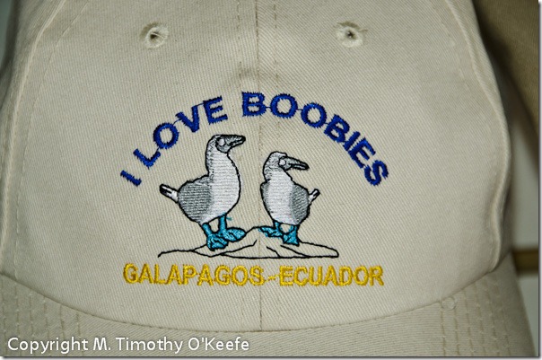 I_Love_Boobies_Souvenir_Cap-1