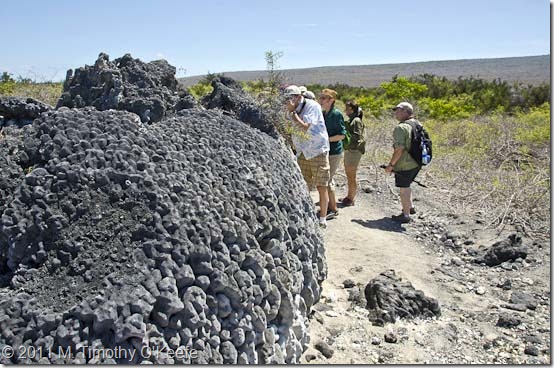 Urbina coral moved inland-2