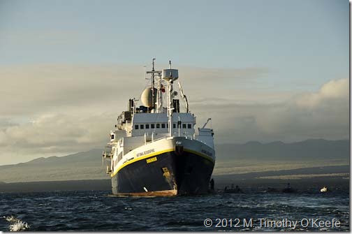 Galapagos Lindblad Expeditions National Geographic Endeavour-3