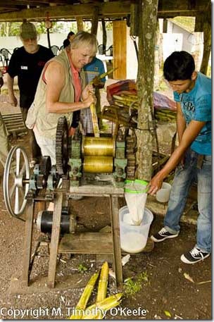 Galapagos Santa Cruz El Trapiche sugar mill electric sugar press-1