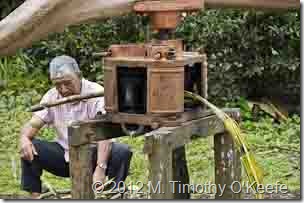 galapagos santa cruz  el trapiche sugar mill-2