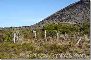 galapagos santiago puerto egas mountain fence-1