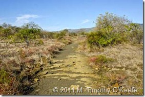 puerto egas Remains of old salt trail-1