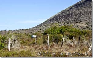 puerto egas ruins-1